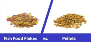 Best Food for Goldfish: Pellets vs Flakes Best Food for Goldfish: Pellets vs Flakes