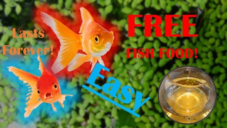 Can Goldfish Eat Vegetables? Safe Foods & Treats