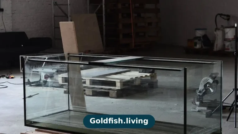How to Cycle a Goldfish Tank: The Complete Fishless Guide